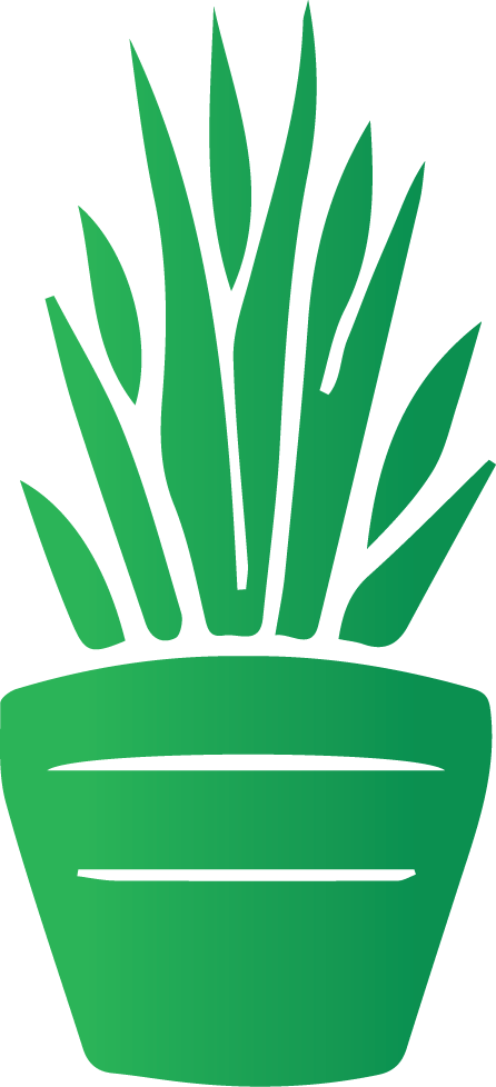 Plant Pot